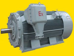 南陽YB2系列高壓隔爆型三相異步電動機